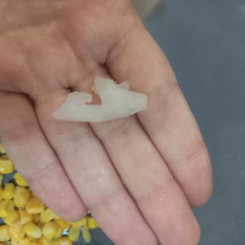 BİM Mutfağım Dondurulmuş Mısırda Plastik Parçacık Ve Sağlık Riski