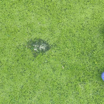 Kuşcağız Halı Saha Çimlerinde Güvenlik Riski Ve Acil Yenileme Talebi