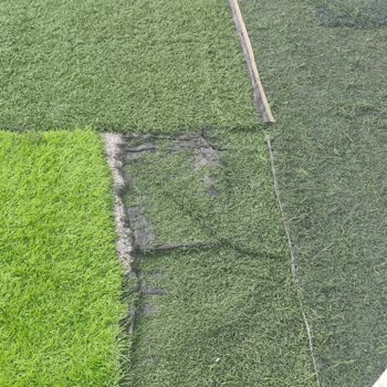 Kuşcağız Halı Saha Çimlerinde Güvenlik Riski Ve Acil Yenileme Talebi