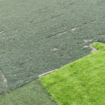 Kuşcağız Halı Saha Çimlerinde Güvenlik Riski Ve Acil Yenileme Talebi