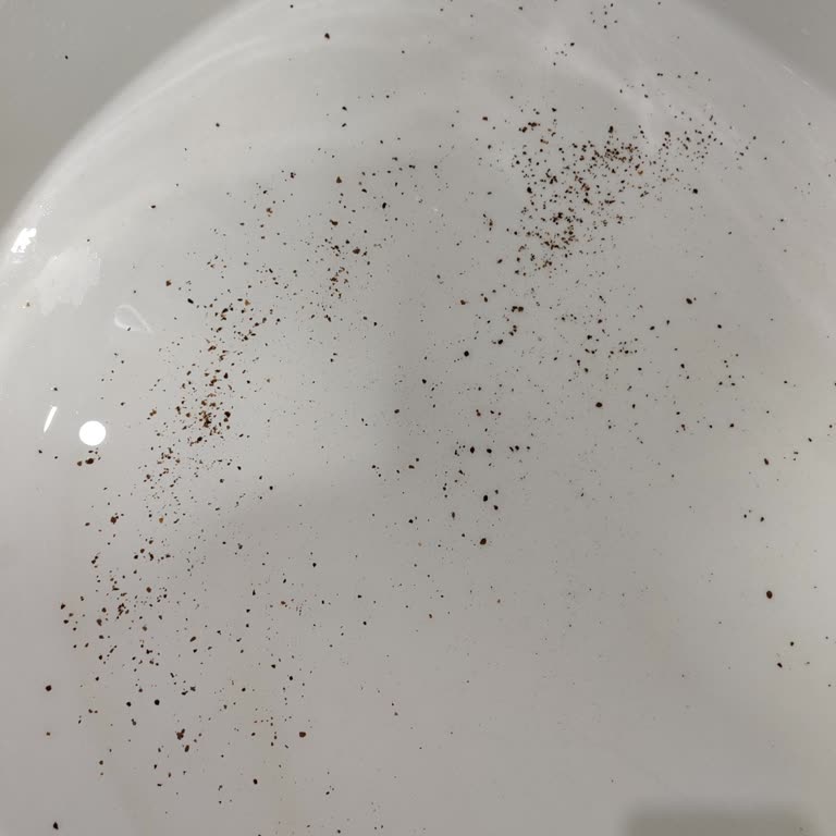 Böcek Sorunu Ve Kirli Termal Havuz Nedeniyle Ücret İadesi Talebi