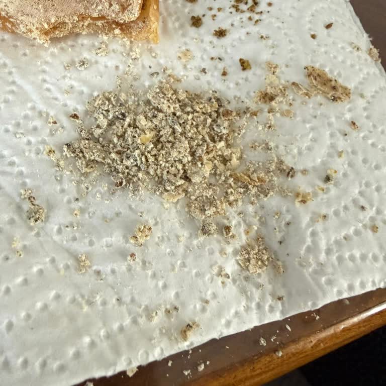 Muska Pestilde Bilinmeyen Siyah Dolgu Ve Cevapsız Müşteri Şikayeti