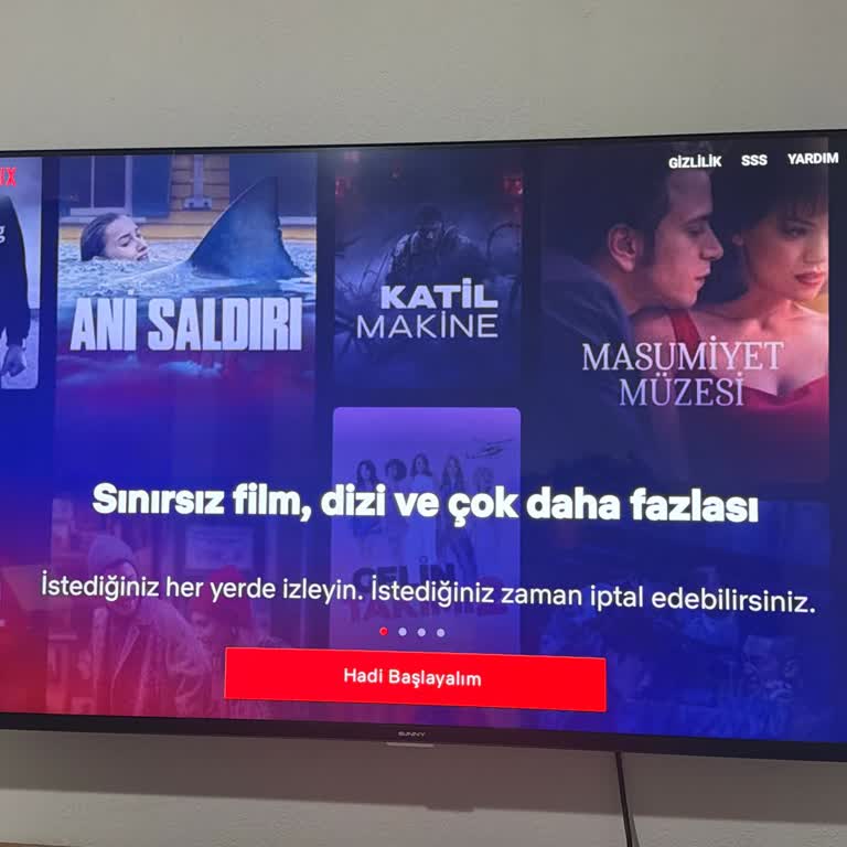 Sunny Smart TV'de Netflix Girişi Çalışmıyor