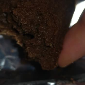 Poti Kek’te Kurt Benzeri Yabancı Madde Bulunması Marka Güvenine Darbe