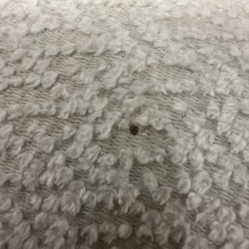 Modalife Mimaroba Şubesinde Yanık İzli Bohem Koltuk Takımının Çözüm Bekleyişi