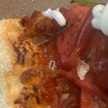 Domino’s Şubesinde Pizza Üzerinde Parazit Benzeri Şey Görülerek Hijyen Ve Sağlık Endişesi Oluştu