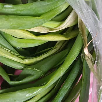 Trendyol GO Siparişindeki Bozuk Ve Çürük Sebze Ürünleri İade Reddi