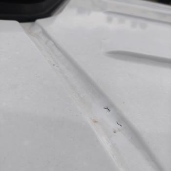 Reeder Reev Fancy’da Boya Kabarması, Paslanma Ve Fren Sorunları İçin Cevapsız Servis