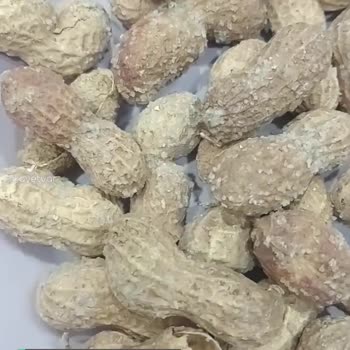 BİM Sürekli Bozuk Fıstık Satışı Yapılıyor