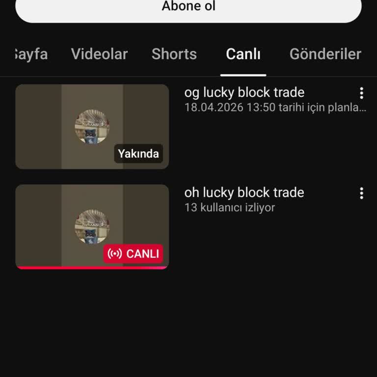 Roblox Yayıncısının Sahte Game Pass Teklifi Ve Engellemesi