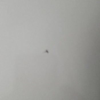 Haydi Taşınalım'ın Eşyalarımda Verdiği Zarar Ve Verdiği Sözleri Tutmaması