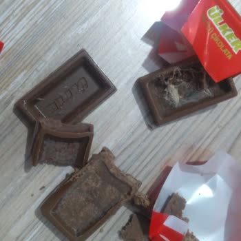 Kurtlanmış Ve Bozulmuş Ülker Sütlü Çikolata