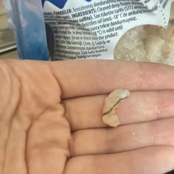 Temizlenmiş Olarak Satılan Dondurulmuş Karideste Bağırsak Sorunu