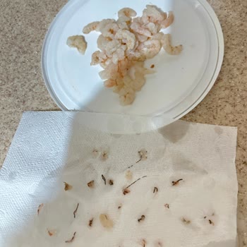 Temizlenmiş Olarak Satılan Dondurulmuş Karideste Bağırsak Sorunu