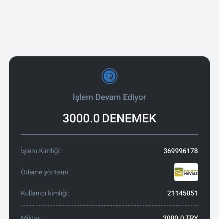 Yatırdığım 3.000 TL Hesabıma Geçmedi Ve Destek Yanıtsız