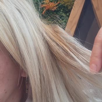 Cess Kuaför Güzellik Merkezinde Saç Boyama Sonrası Kök Kırılması Ve Usta Hakareti