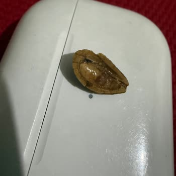 Carrefour Ve Kahve Dünyası'nda Çikolatada Yabancı Madde Bulunması