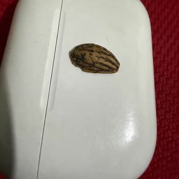 Carrefour Ve Kahve Dünyası'nda Çikolatada Yabancı Madde Bulunması