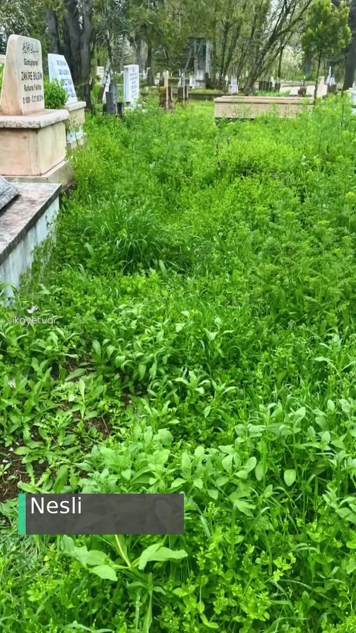 Ankara Büyükşehir Belediyesi Mezarlık Bakımsız! videonun kapak resmi