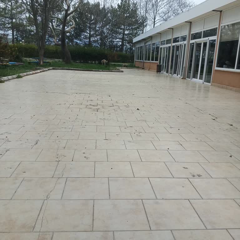 Köpeklerin Otel Ortamına Girmesi Hijyen Ve Misafir Güvenliğini Tehlikeye Atıyor