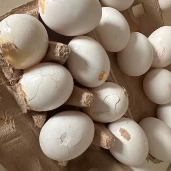 Migros Sanal Market’te Hasarlı Yumurtalar Ve İade Reddi