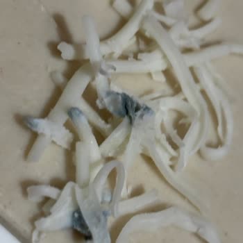 A101 Kapıda Alınan Mozzarella Peynirinde Küf Ve Sağlık Endişesi