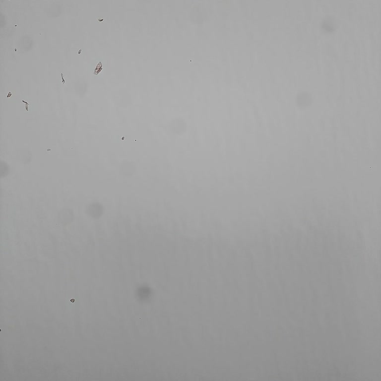 Reeder S23 Pro Max Telefonunda Erken Kasa Ve Kamera Çatlakları Ve Lekeler