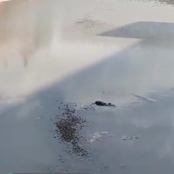 Van Büyükşehir Belediyesinin Görevini Yapmaması!