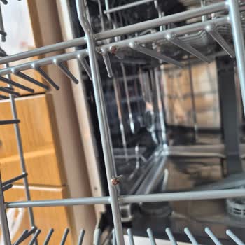 Yeni Bulaşık Makinesinde Sepet Paslanması, Sağlık Riski Ve Garanti Reddi