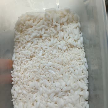 Yayla Osmancık Pirincinde Pişirme Sırasında Anormal Şişme Ve Doğallık Endişesi