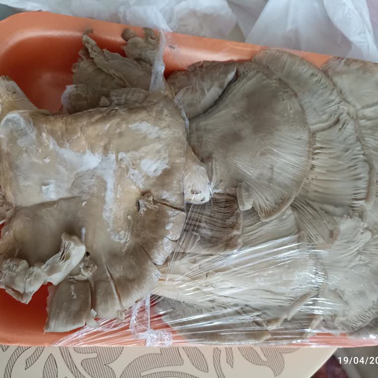 İstiridye Mantarı Bozuldu, Manav Personeli Yanıltıcı Ve Kaba