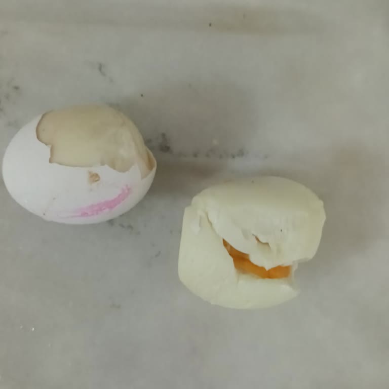 Tokat Karşıyaka Şubesinde Bozuk Yumurta Ve Çözüm Talebi