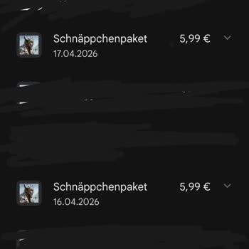 I Request Refund for Unauthorized Google Play Purchases in Viking Rise