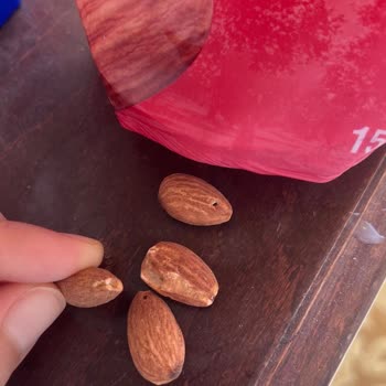 Kavrulmuş Bademlerde Kurt Yeniği Ve Delik Sorunu