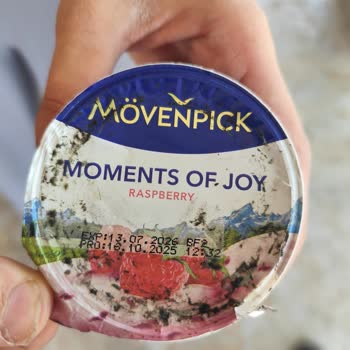 Mövenpick Markalı Böğürtlenli Yoğurtta Küf, Son Kullanma Tarihi Geçmemiş