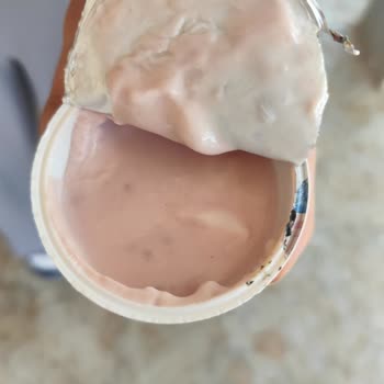 Mövenpick Markalı Böğürtlenli Yoğurtta Küf, Son Kullanma Tarihi Geçmemiş