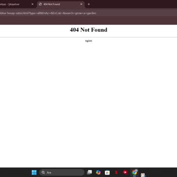 Itemsatış Sitesine Erişilemiyor: Sürekli 404 Hatası