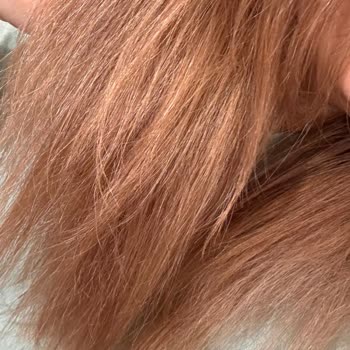 Kırık Kesim Ve Turuncu Saç Rengi İçin Kuaföre İade Talebi