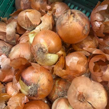 Migros Arena Park Şubesinde Sürekli Çürük Patates Ve Soğan Ürünleri Sorunu