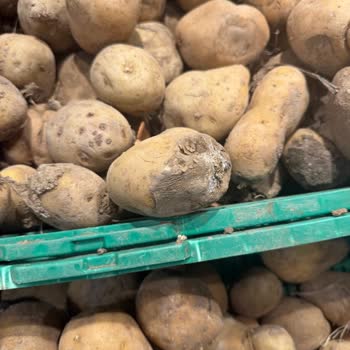 Migros Arena Park Şubesinde Sürekli Çürük Patates Ve Soğan Ürünleri Sorunu