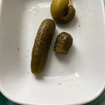 Göğüs Hastalıkları Servisinde Hemşirelerin Saygısız Davranışı Ve Hijyenik Olmayan Yemek Hizmeti