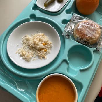 Göğüs Hastalıkları Servisinde Hemşirelerin Saygısız Davranışı Ve Hijyenik Olmayan Yemek Hizmeti