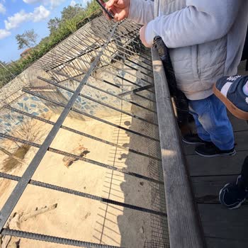 Büyük Hayvanların Küçük Kafeslerde Sıkıştığı Park Of İstanbul Hayvanat Bahçesi