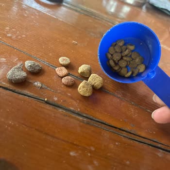 Yanlış Ürün Gönderimi Ve Orijinallik Şüphesi İdefix’te