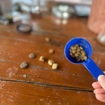 Yanlış Ürün Gönderimi Ve Orijinallik Şüphesi İdefix’te