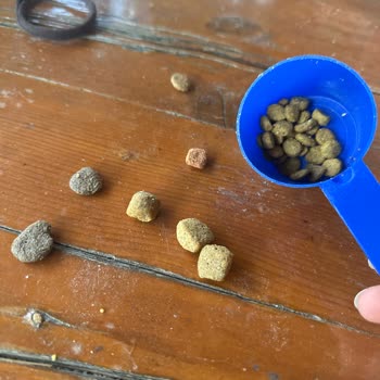 Yanlış Ürün Gönderimi Ve Orijinallik Şüphesi İdefix’te