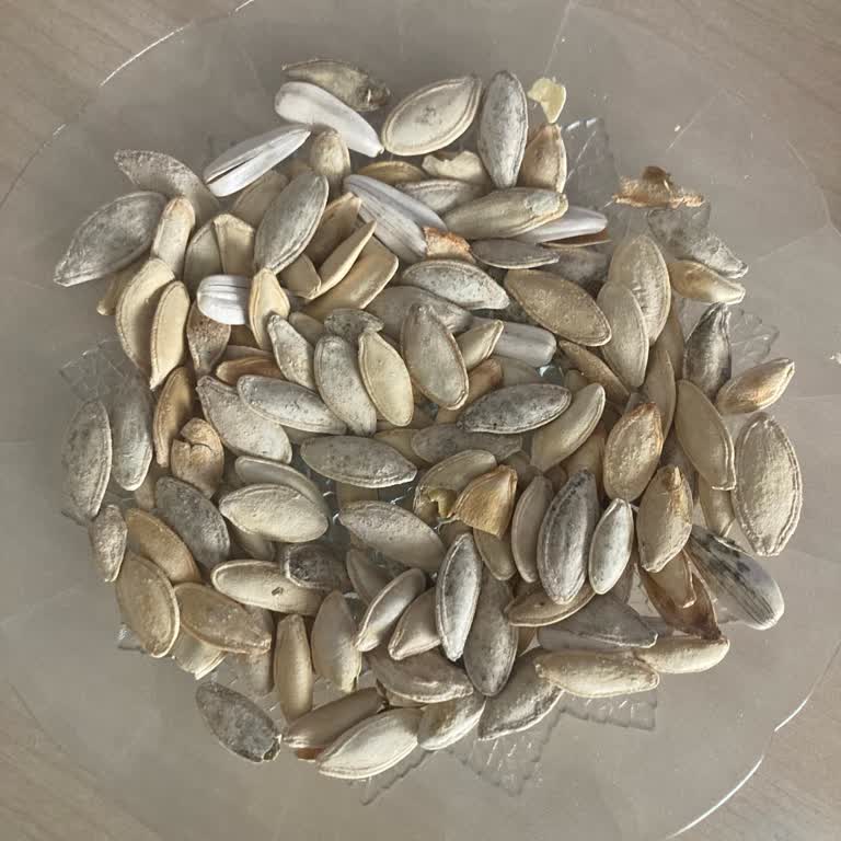 A101'de Çerezya Kabak Çekirdeği Çürük Satılıyor, Müşteri Hizmetleri Cevapsız