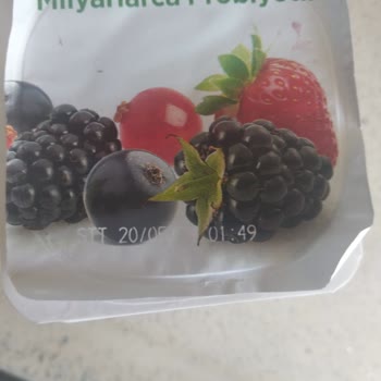 Activia Yoğurdunda Böcek Bulunması Sağlık Endişesi Yaratıyor