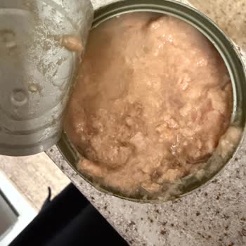 Superfresh Light Sulu Ton Balığında Aşırı Su Ve Püre Kıvamı