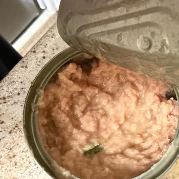 Superfresh Light Sulu Ton Balığında Aşırı Su Ve Püre Kıvamı